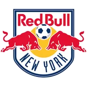 纽约红牛 图标